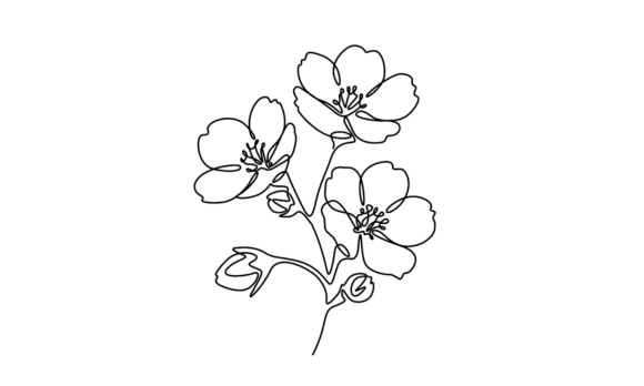Cherry Blossom Animation